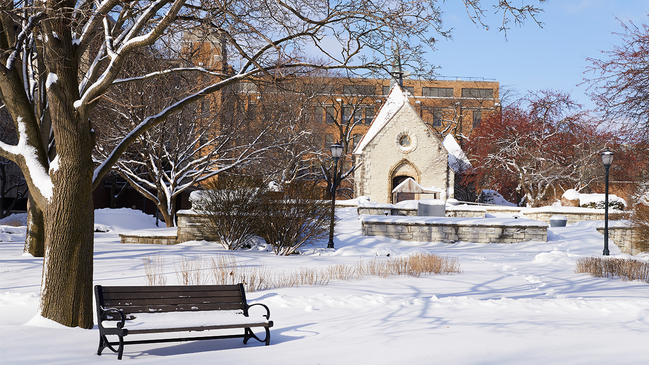 Marquette Background